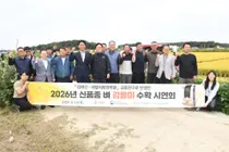 강화군 벼 신품종 ‘강들미’ 재배면적 1년 새 10배…300ha로 확대