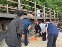 김광훈 인천시의원 “6억 들인 해안 보행로, 3년 만에 철거”…영종 친수시설 점검