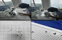 서해구, 매개모기 밀도 분석해 맞춤형 방역체계 구축