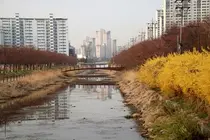인천시, 서부간선수로 친수공간 조성 난항…연간 사용료 최대 10억원 부담 우려