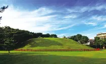 [조수진의 보이는 것 너머] 강남 빌딩 숲에 홀로 잠든 왕, 중종