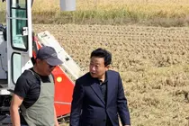 옹진군, 백령도 벼 수확 현장 점검…평년 웃도는 수확량 전망