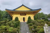 [조수진의 보이는 것 너머] 수국사에서 서오릉 거쳐 서삼릉까지...왕릉에 깃든 조선의 이야기