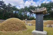[조수진의 보이는 것 너머] 정조의 비문에 남은 사랑-의빈 성씨(宜嬪 成氏) 성덕임