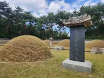 [조수진의 보이는 것 너머] 정조의 비문에 남은 사랑-의빈 성씨(宜嬪 成氏) 성덕임