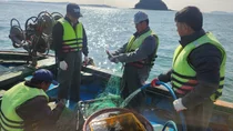 인천시, 수산물 ‘출하 전 검사’ 연 300건으로 확대… 방사능 등 169항목 정밀 분석