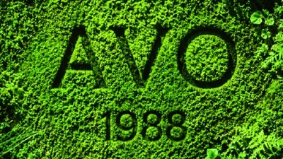 [브랜드 딥다이브 Vol.1 | 에이보 ①] 1988년 생식 철학 이어받은 3세대 브랜드 '에이보(AVO)'... 