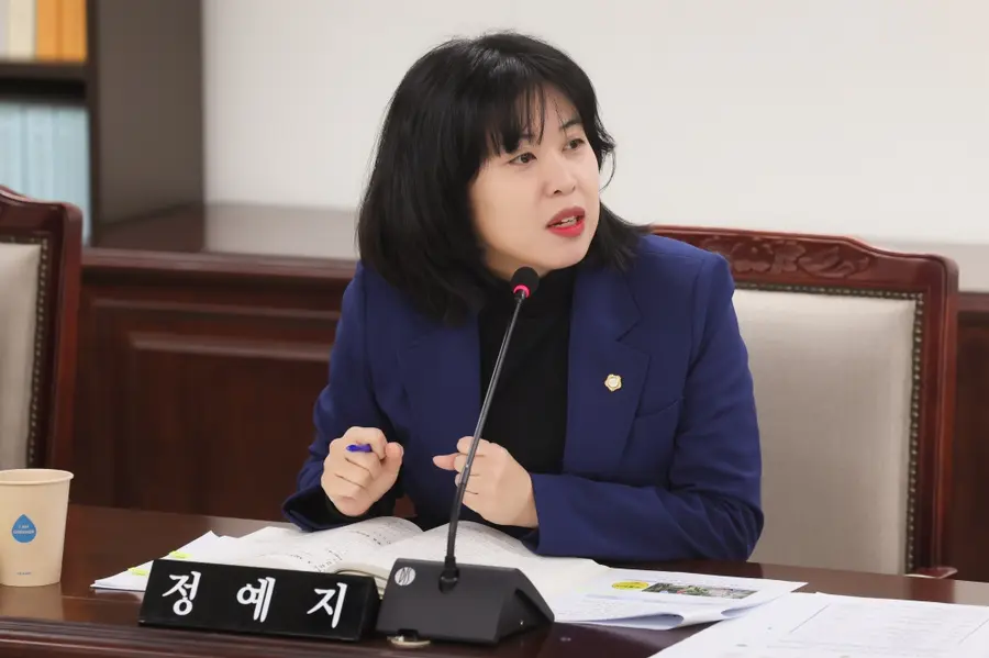 Jung Ye-ji, Bupyeong District Councillor (Provided by Bupyeong District Council)