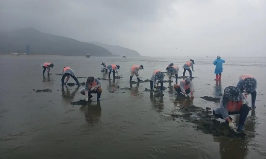 한국어촌어항공단 어촌어업 프로그램
