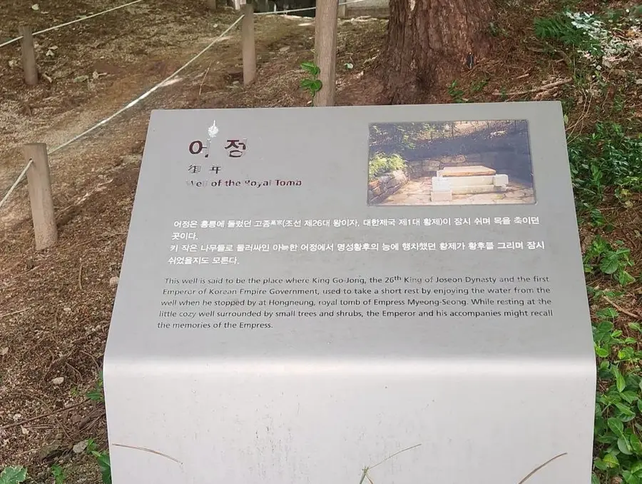 [조수진의 보이는 것 너머] 홍릉숲…능이 떠난 자리에 숲이 남았다