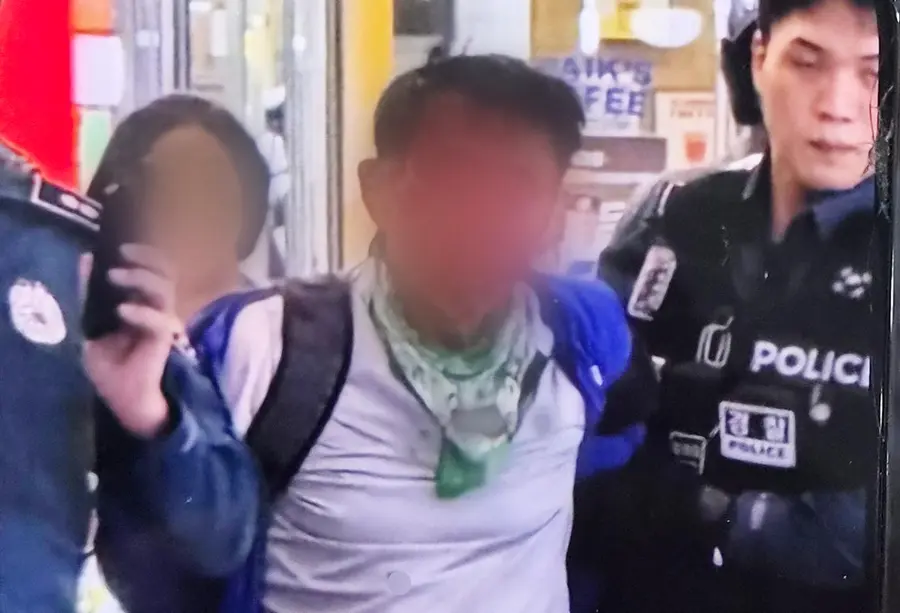 "보이는 사람 찔렀다" 인천 상가서 흉기 난동… 양손 무장 50대에 8명 피해