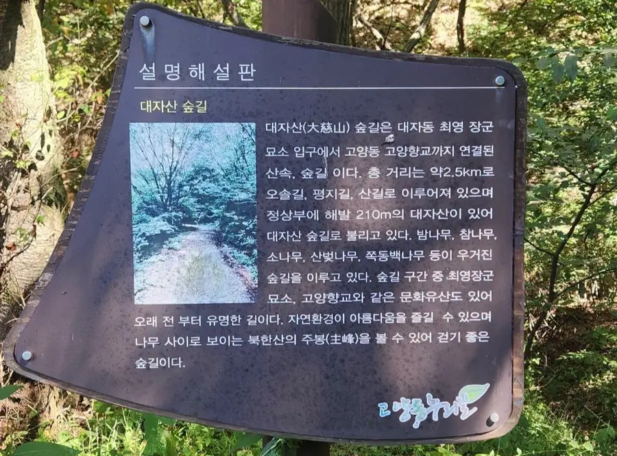 [조수진의 보이는 것 너머] 고려의 충신 최영과 조선 왕실 후손들이 잠든 대자산