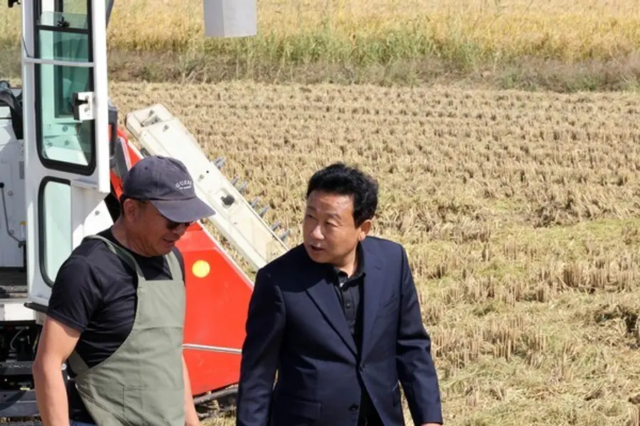 옹진군, 백령도 벼 수확 현장 찾아