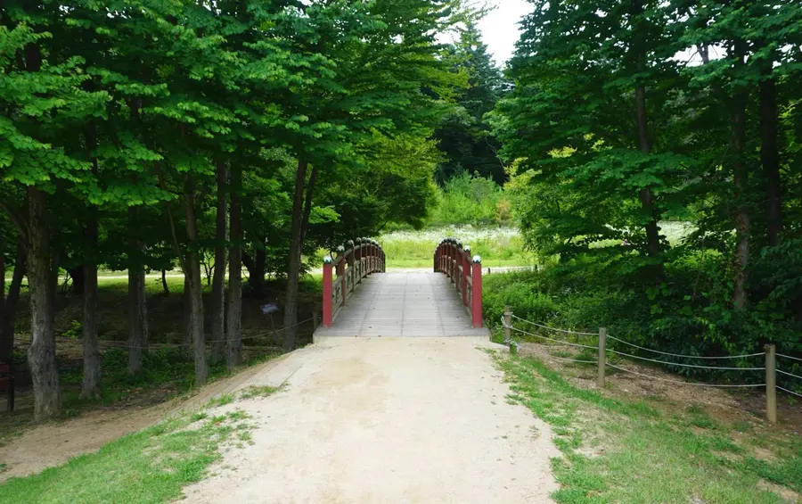 [조수진의 보이는 것 너머] 파주 삼릉에 나란히 누운 한명회의 두 딸