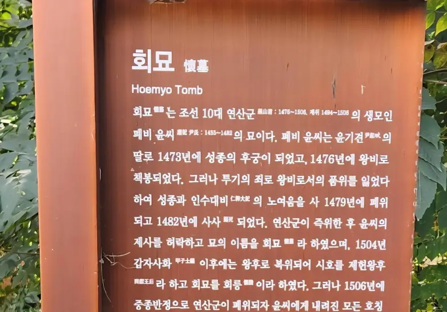 [조수진의 보이는 것 너머] 폐비 윤씨의 회묘...묘에서 왕비의 능으로, 그리고 다시 묘가 되기까지
