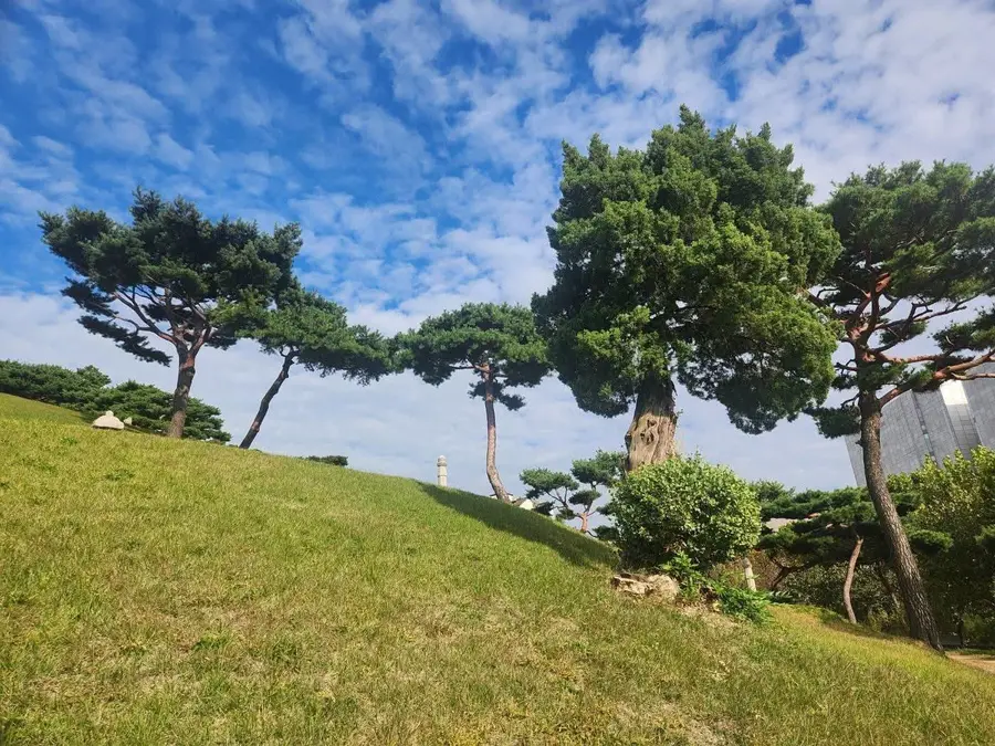 [조수진의 보이는 것 너머] 태종은 왜 효령을 건너뛰었을까-청권사에서