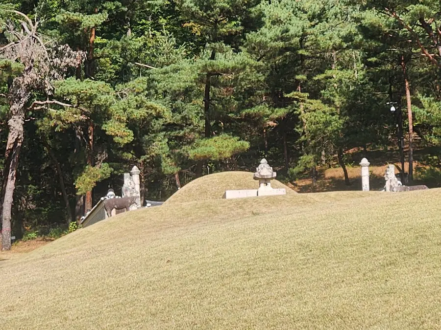 [조수진의 보이는 것 너머] 7일의 왕비, 온릉에 잠든 단경왕후 신씨