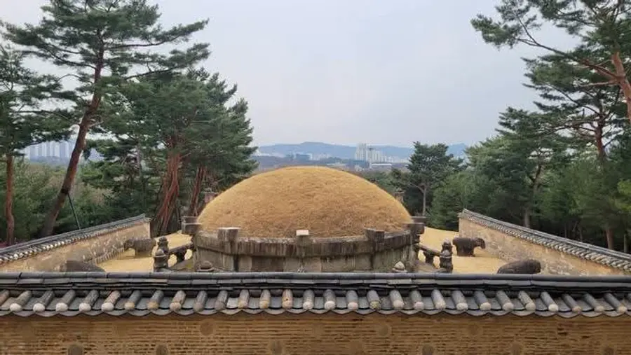 [조수진의 보이는 것 너머] 여인천하, 문정왕후의 태릉